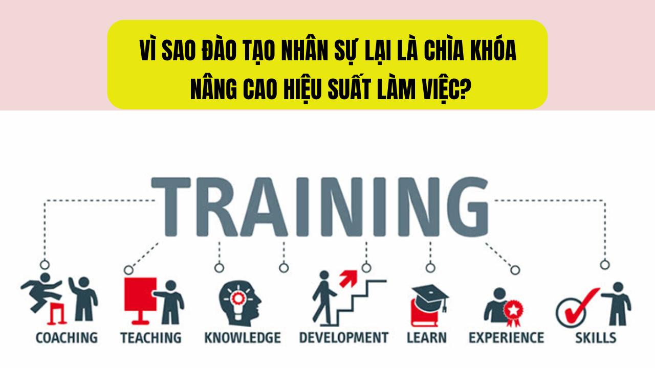 Vì Sao Đào Tạo Nhân Sự Lại Là Chìa Khóa Nâng Cao Hiệu Suất Làm Việc?